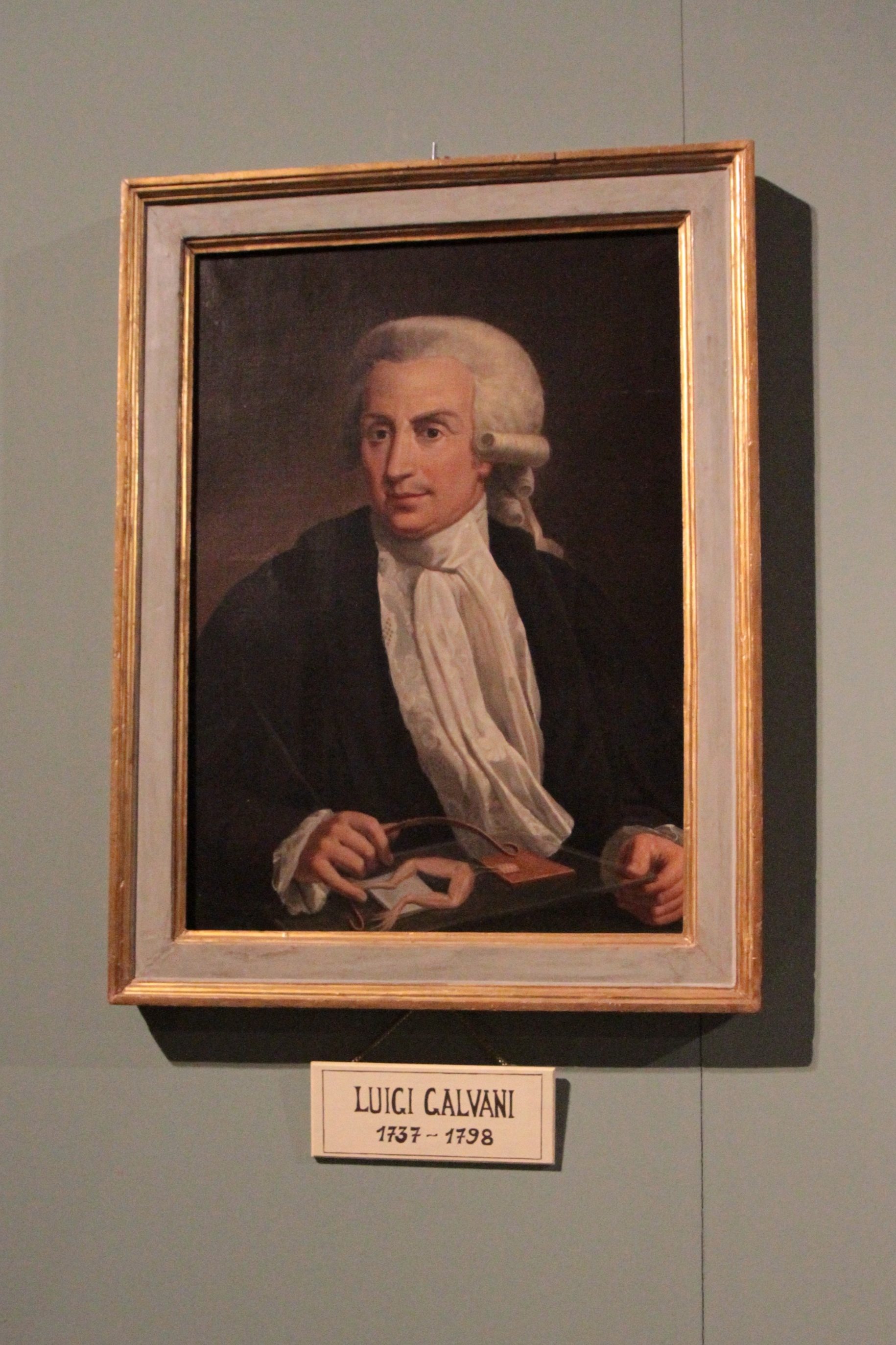 Luigi Galvani's portrait by Sante Nucci, Palazzo Poggi, Bologna.JPG